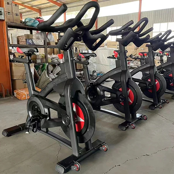 Exercise Bike Magnetic Resistance - Professional Indoor Cycling Bike Gym Fitness